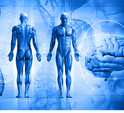 Global Spinal Muscular Atrophy Therapeutics Market 2019-2023